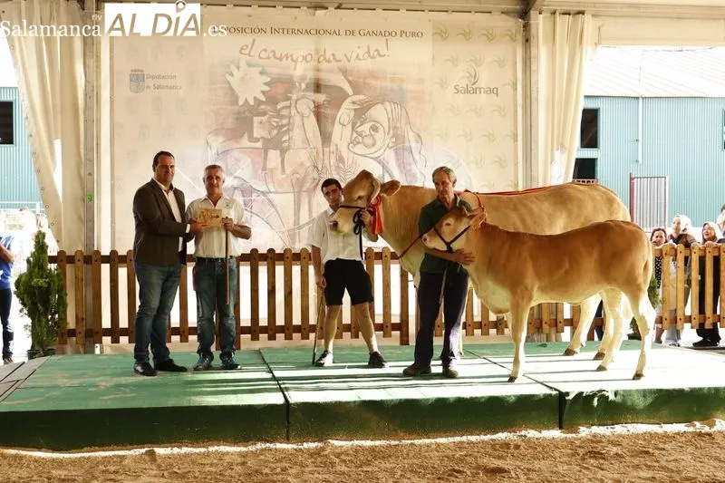 Foto 10 - Los campeones de Limusin, Charol&eacute;s y Blonda se lucen en Salamaq