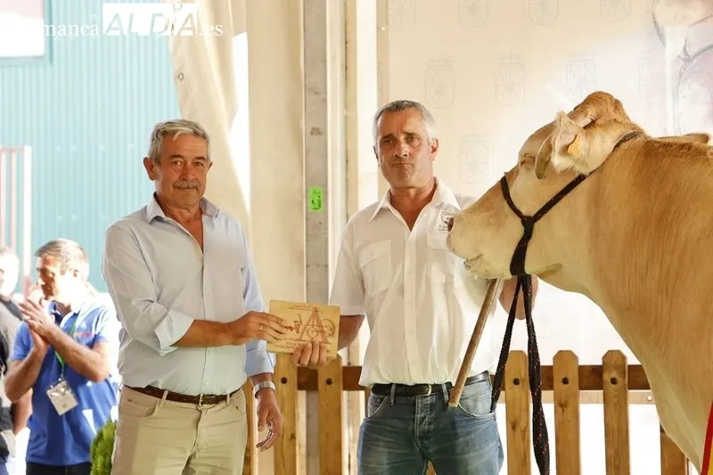 Foto 13 - Los campeones de Limusin, Charol&eacute;s y Blonda se lucen en Salamaq