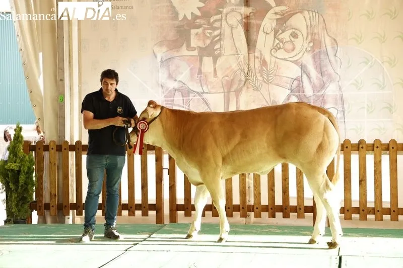 Foto 15 - Los campeones de Limusin, Charol&eacute;s y Blonda se lucen en Salamaq