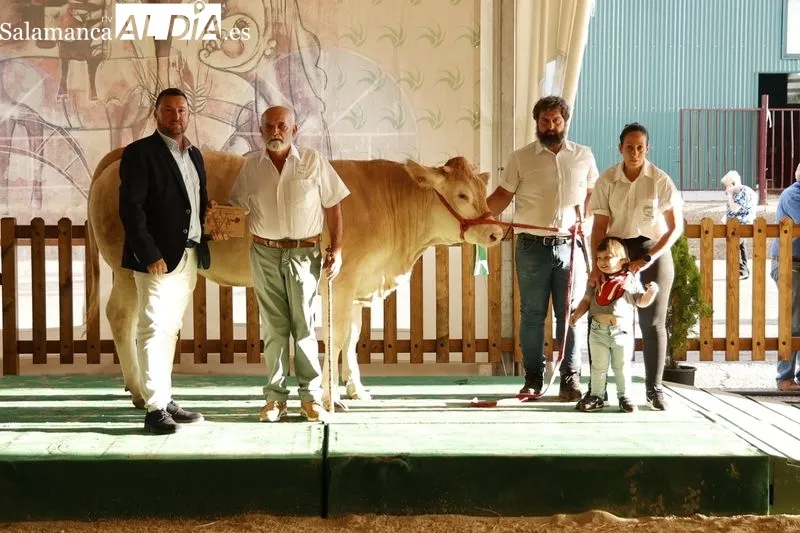 Foto 18 - Los campeones de Limusin, Charol&eacute;s y Blonda se lucen en Salamaq
