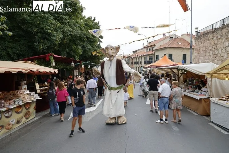 Mercado Medieval en la Vaguada de la Palma. Fotos: David Sañudo