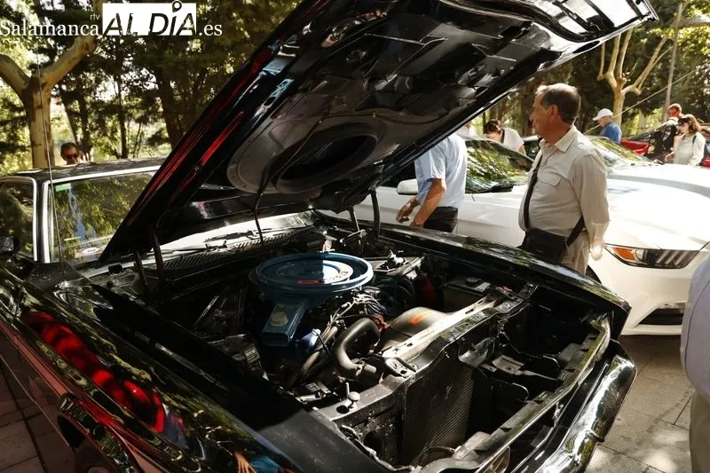 Foto 11 - Salamanca se llena de autom&oacute;viles cl&aacute;sicos
