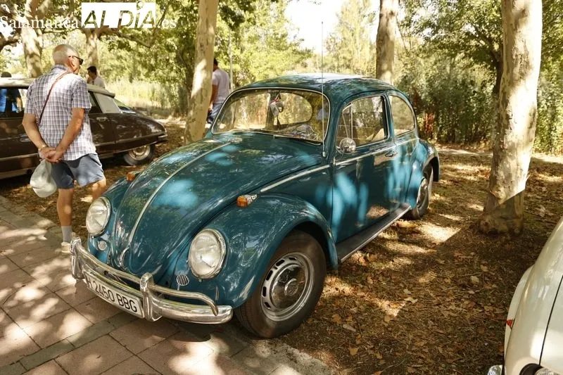 Foto 35 - Salamanca se llena de autom&oacute;viles cl&aacute;sicos