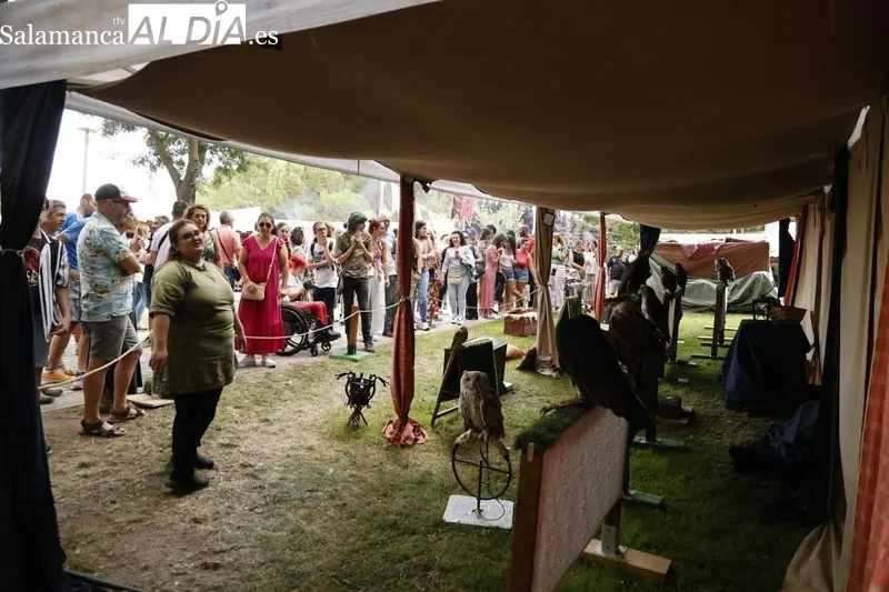 Foto 10 - Buena respuesta del p&uacute;blico al Mercado Medieval de la Vaguada de la Palma