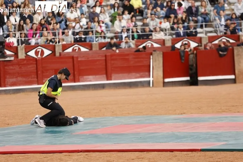  Exhibición de la Policía Nacional en la plaza de toros de Salamanca. Fotos David Sañudo