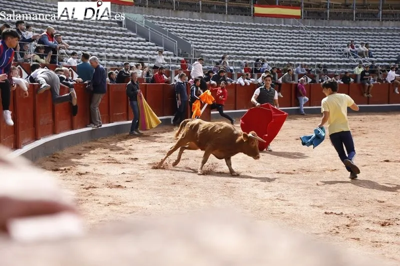 Vaquillas y sorteo de los toros del festejo de esta tarde. Fotos: Pablo Angular