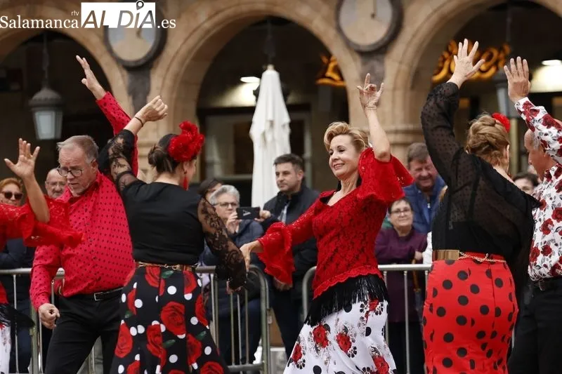 Espectáculo de Flamenco y Sevillanas en la Plaza Mayor de Salamanca en el Día Mundial del Alzheimer