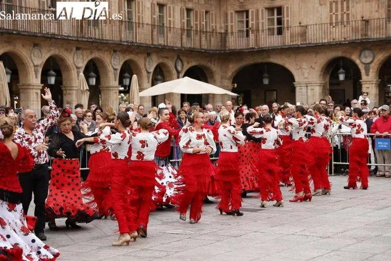 Espectáculo de Flamenco y Sevillanas en la Plaza Mayor de Salamanca en el Día Mundial del Alzheimer