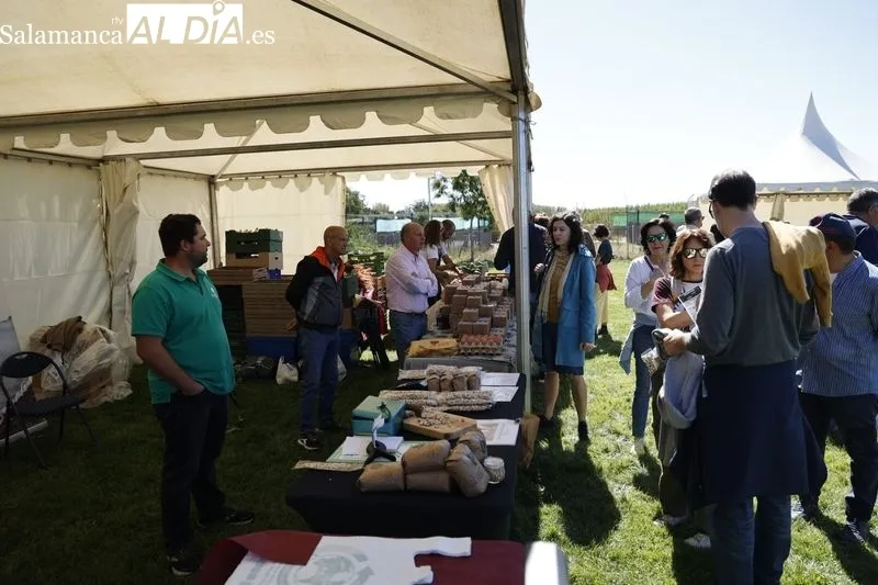 Foto 5 - Un nuevo Mercado Ecol&oacute;gico, durante todo este s&aacute;bado en Salamanca