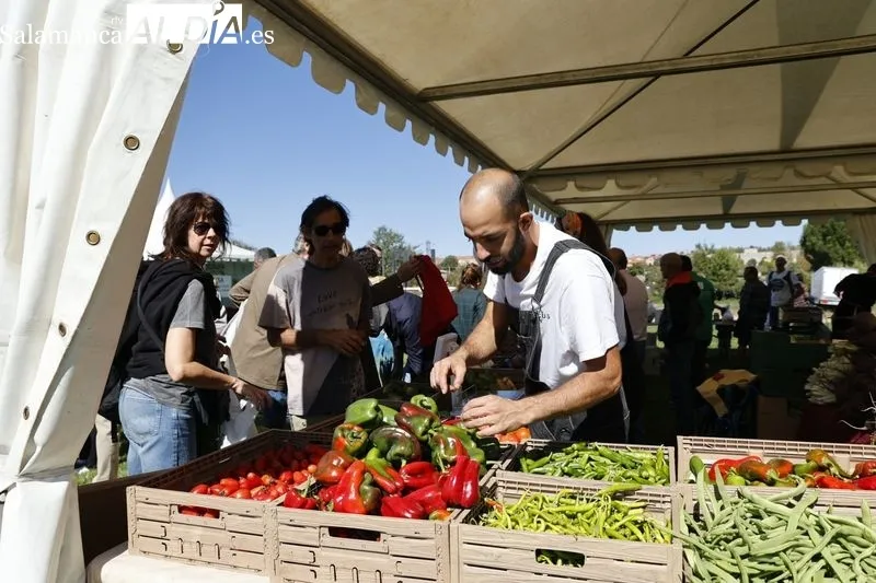 Foto 7 - Un nuevo Mercado Ecol&oacute;gico, durante todo este s&aacute;bado en Salamanca
