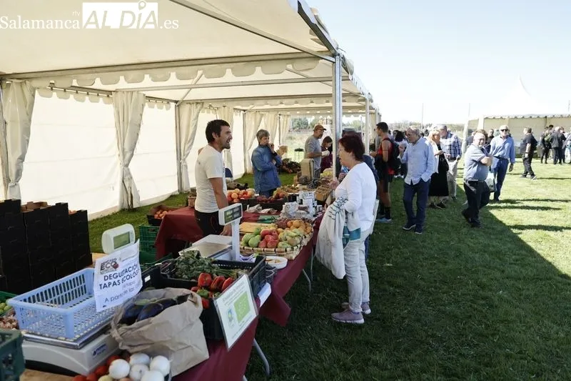 Foto 8 - Un nuevo Mercado Ecol&oacute;gico, durante todo este s&aacute;bado en Salamanca