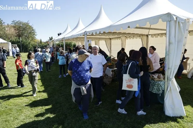 Foto 10 - Un nuevo Mercado Ecol&oacute;gico, durante todo este s&aacute;bado en Salamanca