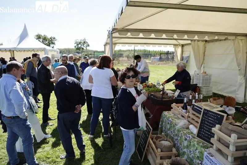 Foto 13 - Un nuevo Mercado Ecol&oacute;gico, durante todo este s&aacute;bado en Salamanca