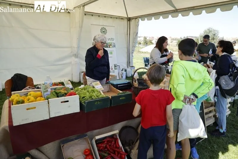 Foto 15 - Un nuevo Mercado Ecol&oacute;gico, durante todo este s&aacute;bado en Salamanca
