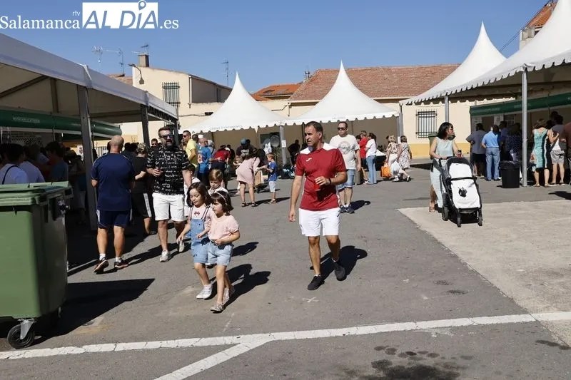 Feria de la Huerta en Cabrerizos. Fotos: David Sañudo