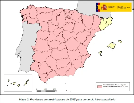 Foto 2 - Registrados 23 nuevos focos de EHE en Espa&ntilde;a desde el 11 de septiembre