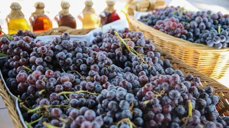 La ciudad de Guarda mira hacia los pueblos | Fotos: ediciones anteriores de la Feria Farta