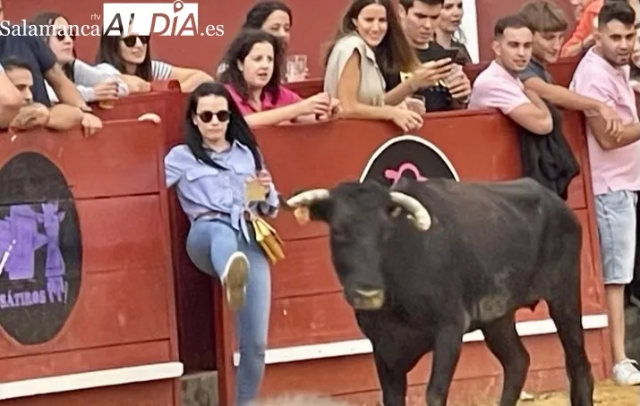 Foto 2 - Carreras, saltos y diversi&oacute;n para una festiva tarde de vaquillas en Macotera