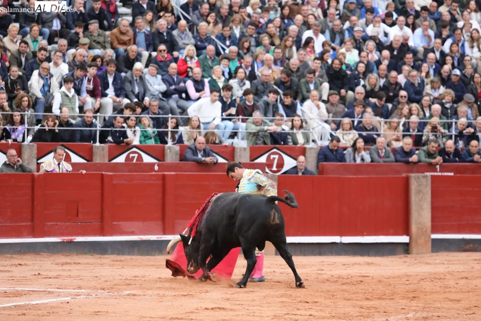 López Chaves en su último toro. Fotos: Miguel Hernández