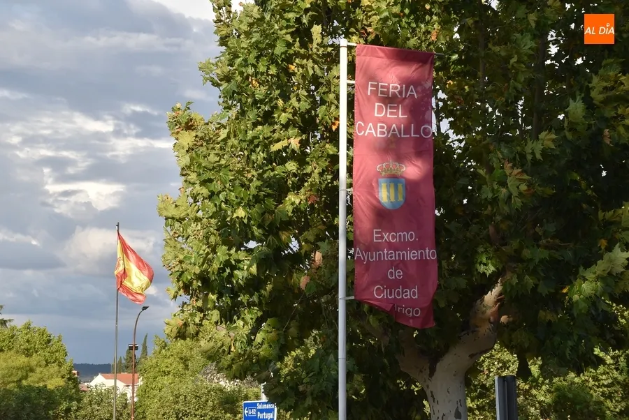 Foto 3 - Levantada la gran carpa de la Feria del Caballo