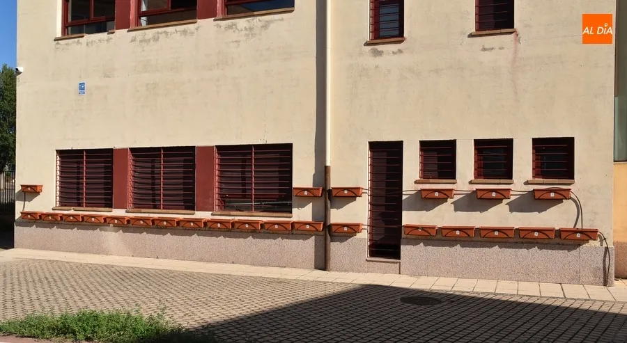 Imágenes del rocódromo y de los primeros pasos del patio renaturalizado del IES Tierra