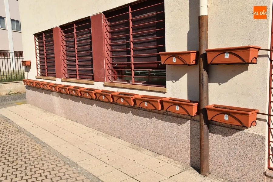 Imágenes del rocódromo y de los primeros pasos del patio renaturalizado del IES Tierra