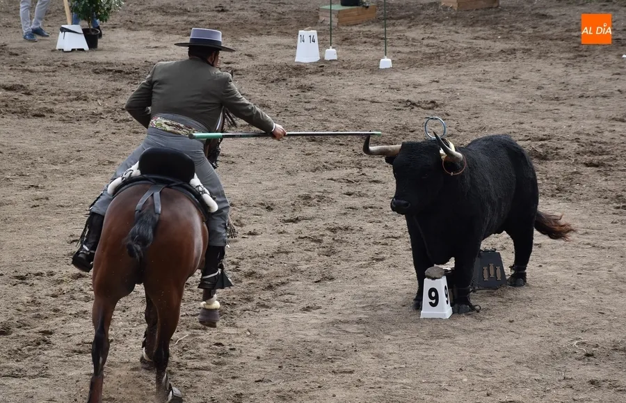 Foto 6 - Ciudad Rodrigo corona campe&oacute;n de Espa&ntilde;a a Sebasti&aacute;n L&oacute;pez en el remate con agua de la Feria