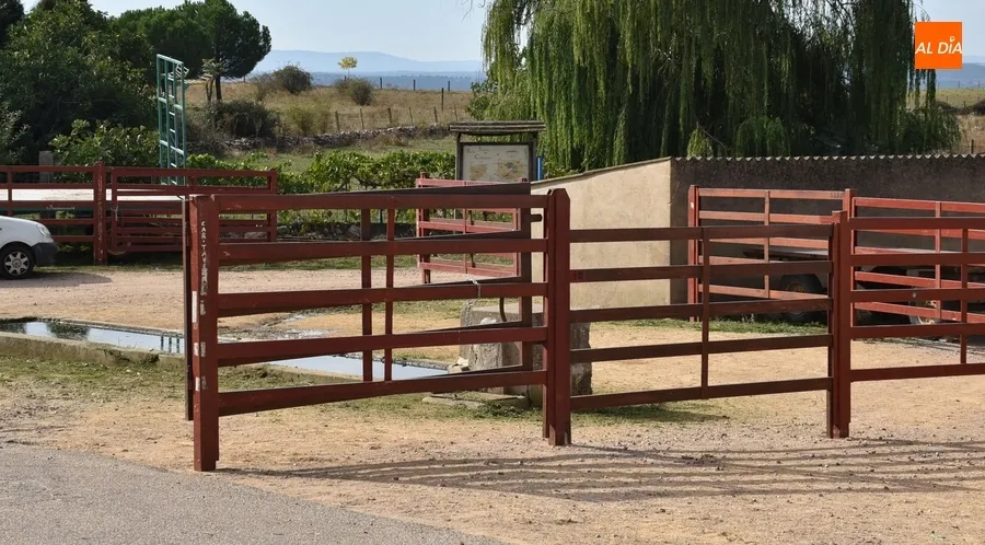 Foto 4 - Desplegadas las agujas por Pedrotoro para sus fiestas patronales