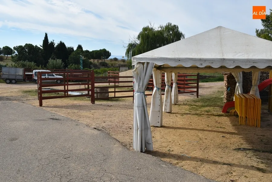 Foto 6 - Desplegadas las agujas por Pedrotoro para sus fiestas patronales