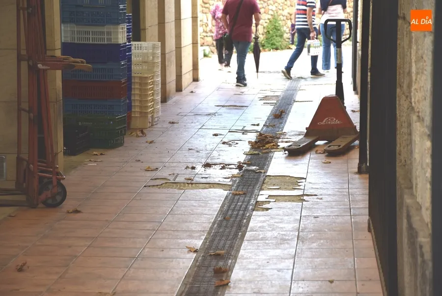 Foto 2 - La AFE El Templete renovar&aacute; el suelo entre El Badulake y el Mercado de Abastos