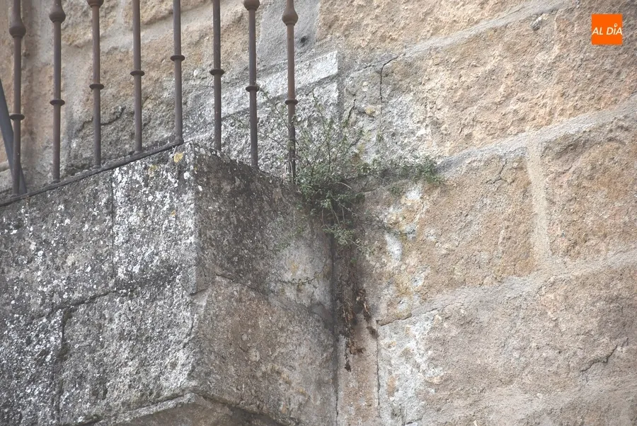 Foto 2 - El &lsquo;invierno&rsquo; llega a la Casa de la Cultura, cuyo entorno recupera el gran libro