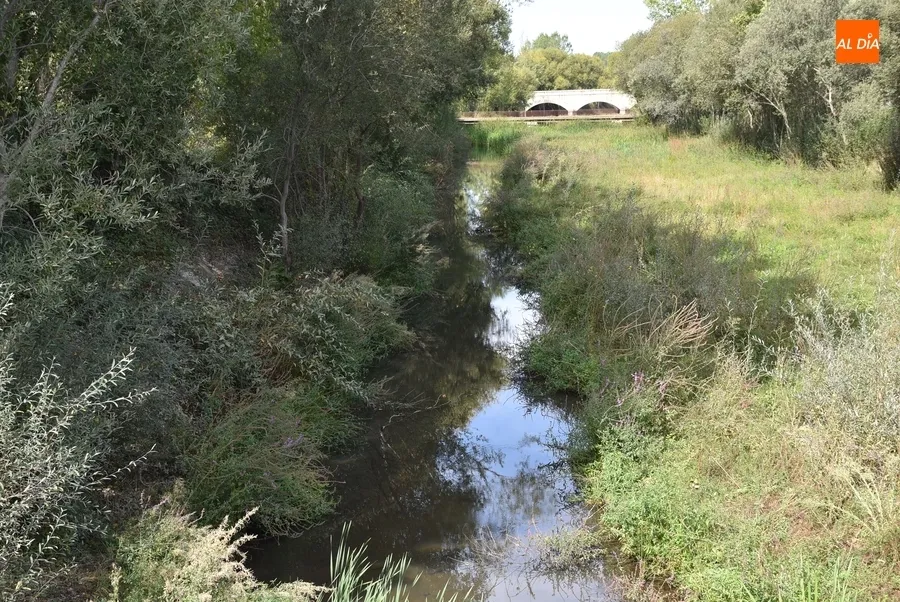 Foto 5 - Reclaman una puesta a punto del puente (y sus aleda&ntilde;os) que conduce a Santa Marina