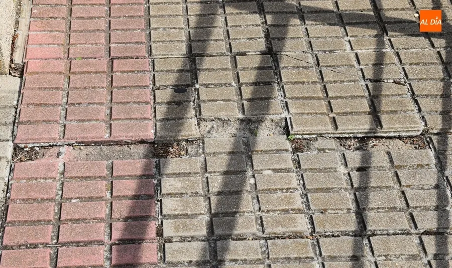 Foto 7 - Reclaman una puesta a punto del puente (y sus aleda&ntilde;os) que conduce a Santa Marina