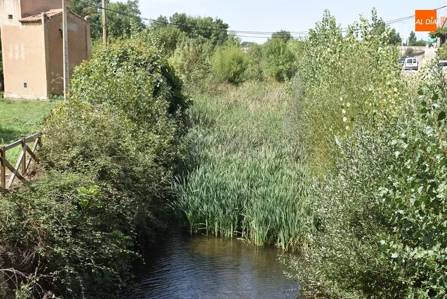 Foto 8 - Arrojada una silla de ruedas al Canal de La Concha