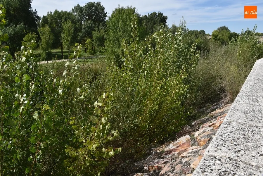 Foto 7 - Arrojada una silla de ruedas al Canal de La Concha