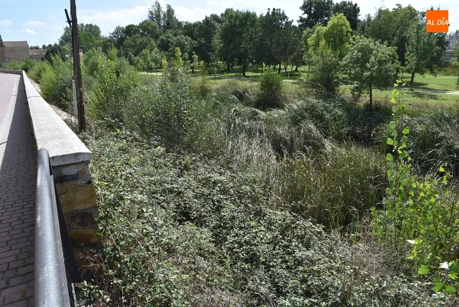 Foto 5 - Arrojada una silla de ruedas al Canal de La Concha