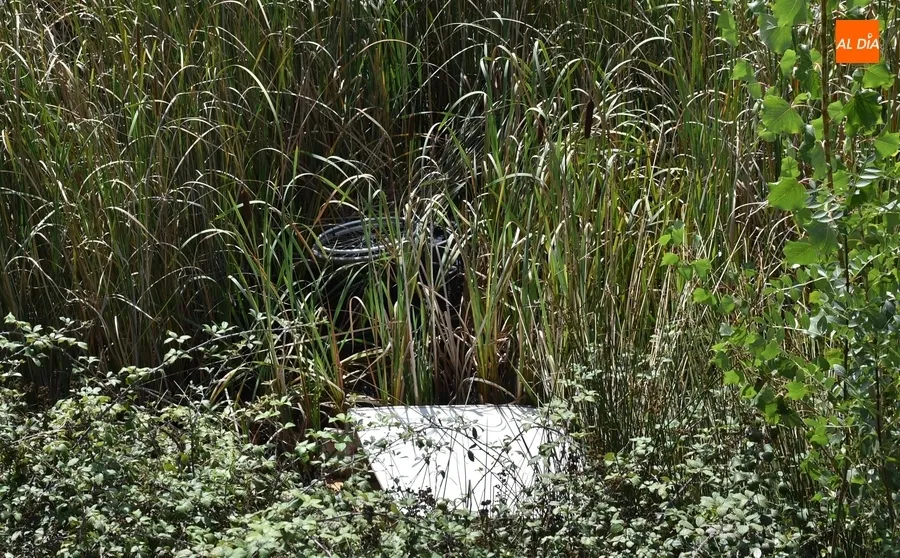 Foto 4 - Arrojada una silla de ruedas al Canal de La Concha