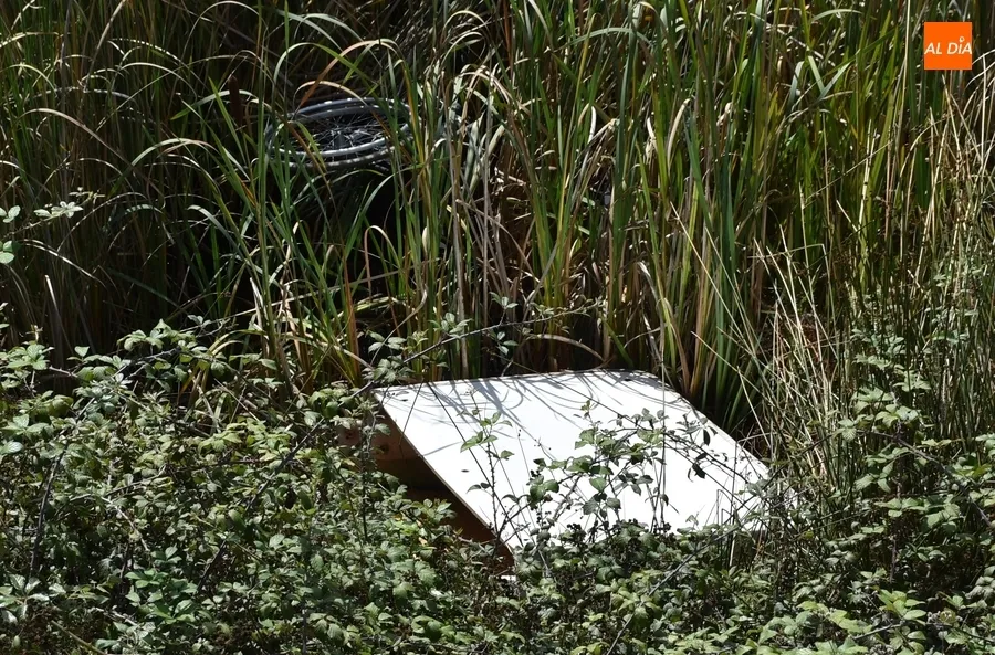 Foto 3 - Arrojada una silla de ruedas al Canal de La Concha
