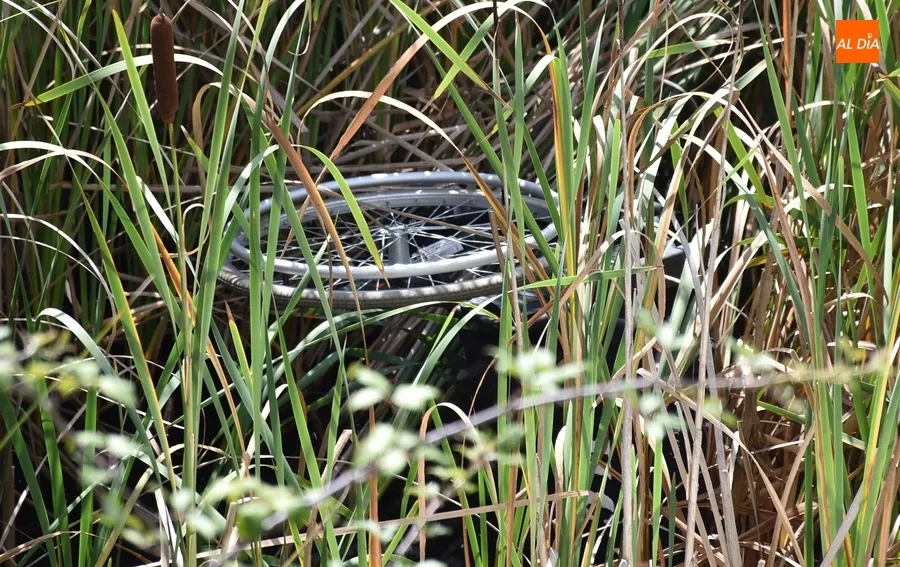 Foto 2 - Arrojada una silla de ruedas al Canal de La Concha