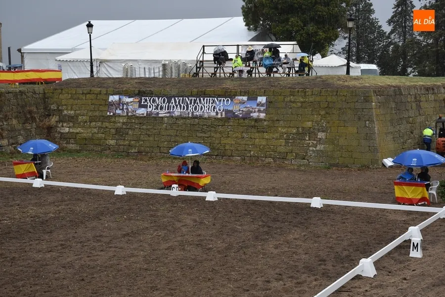Foto 6 - La lluvia altera la jornada sabatina de la Feria del Caballo con suspensiones y cambios
