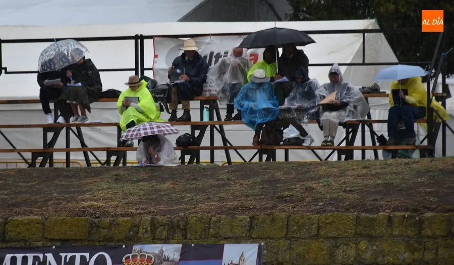 Foto 8 - La lluvia altera la jornada sabatina de la Feria del Caballo con suspensiones y cambios
