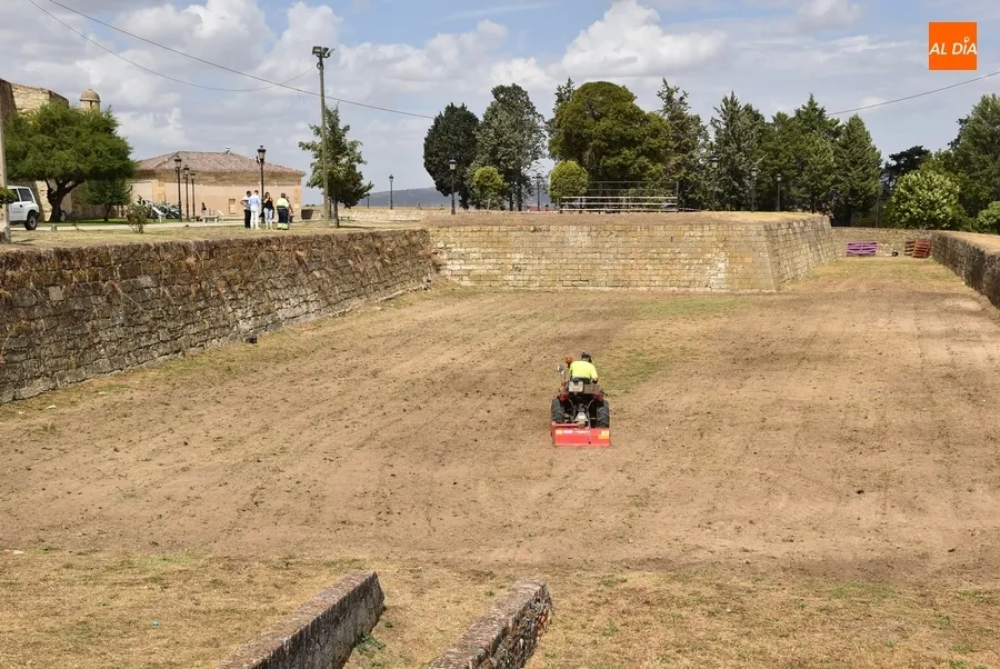 Foto 6 - Los Pinos reciben unas cuantas agujas mientras se prepara ya la pista de competici&oacute;n