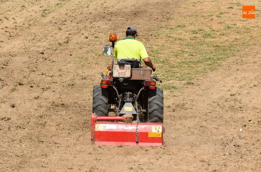 Foto 5 - Los Pinos reciben unas cuantas agujas mientras se prepara ya la pista de competici&oacute;n