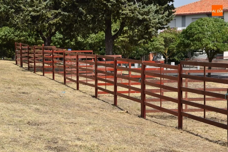Foto 3 - Los Pinos reciben unas cuantas agujas mientras se prepara ya la pista de competici&oacute;n
