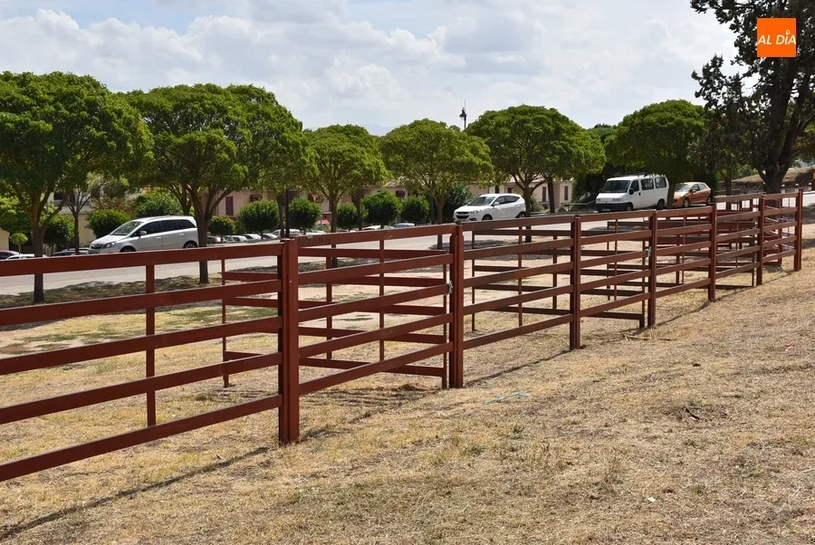 Foto 2 - Los Pinos reciben unas cuantas agujas mientras se prepara ya la pista de competici&oacute;n