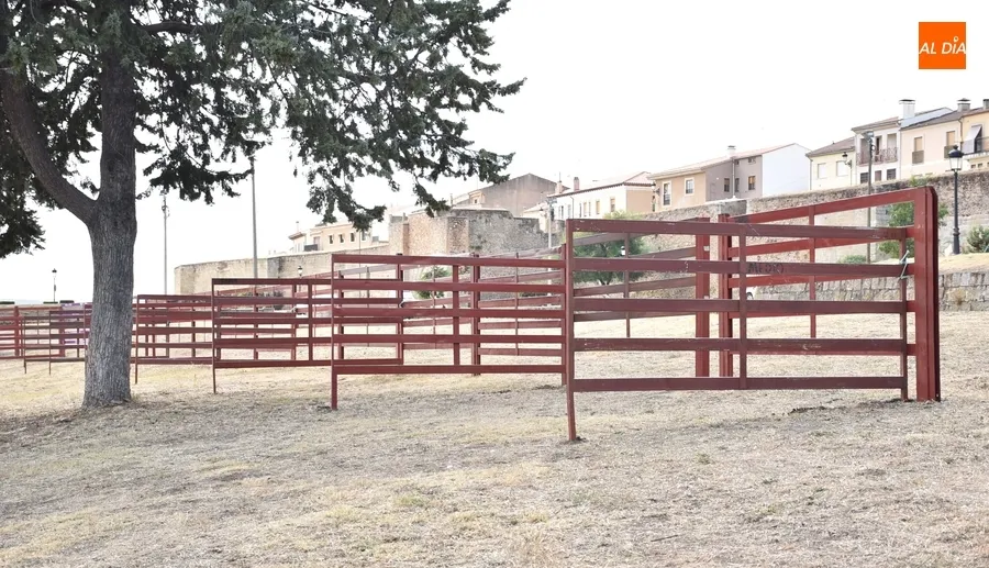 Foto 7 - Los Pinos reciben unas cuantas agujas mientras se prepara ya la pista de competici&oacute;n