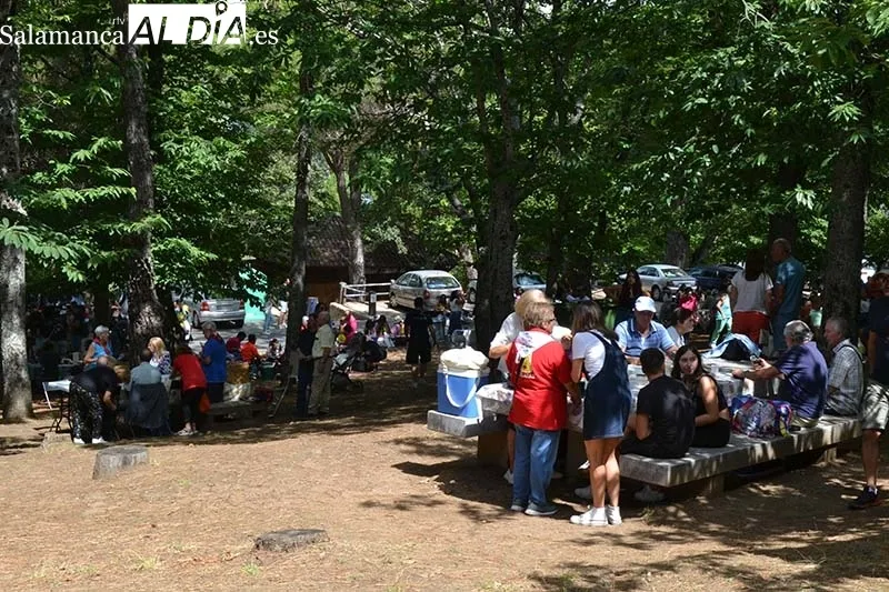 Foto 8 - Rotundo &eacute;xito de la paella solidaria en B&eacute;jar