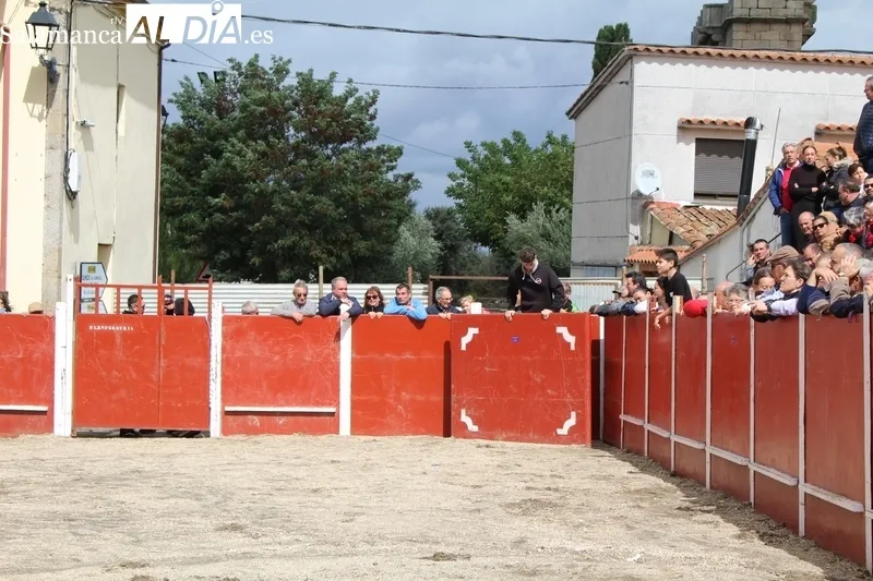 En el segundo encierro de Bañobárez se corieron tres vacas y un novillo al estilo tradicional / SILVESTRE  
