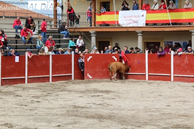 En el segundo encierro de Bañobárez se corieron tres vacas y un novillo al estilo tradicional / SILVESTRE  
