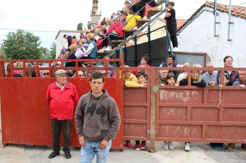 En el segundo encierro de Bañobárez se corieron tres vacas y un novillo al estilo tradicional / SILVESTRE  